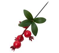 un tocco di bellezza nel per tuo spazio con un ramo di frutta melograno simula