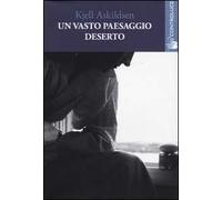 Un vasto paesaggio deserto