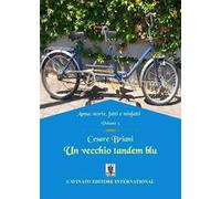 Un vecchio tandem blu. Anna: storie, fatti e misfatti. Vol. 3