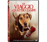 Un Viaggio a Quattro Zampe (DVD) Dallas Howard Ashley Judd Edward James Olmos