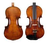 Un violino dal suono fantastico