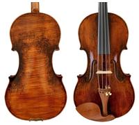 Un violino dal suono fantastico