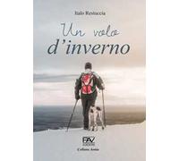 Un volo d'inverno