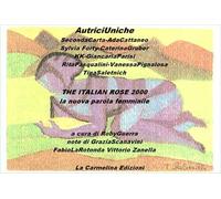 Una batteria in valigia