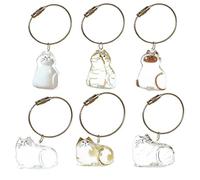 Una bottiglia commemorativa con peli di gatto altamente trasparente può essere portata nella tua borsa, questo è un grande regalo per gli amanti degli animali domestici (2 pezzi NO.2 and NO.6 2 pezzi