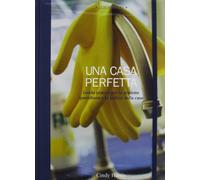 Una casa perfetta. Guida pratica per la gestione quotidiana e la pulizia della casa. Ediz. illustrata