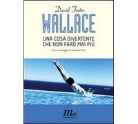 Una cosa divertente che non farò mai più