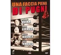 Una faccia piena di pugni
