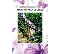 Una farfalla di città