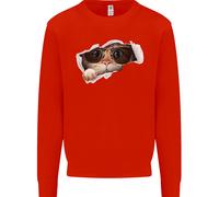 Una Felpa Uomo Divertente Con Gatto Che Guarda Da Un Top Strappato