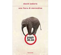 Una fiera di merendine. Diari 2003-2020