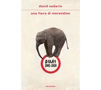 Una fiera di merendine. Diari 2003-2020 - Sedaris David