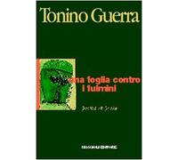 Una foglia contro i fulmini