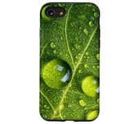 Una foglia verde con gocce d'acqua foglie verdi Custodia per iPhone SE (2020) / 7 / 8