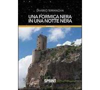 Una formica nera in una notte nera