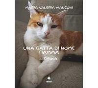 Una gatta di nome Fiamma. Il rifugio