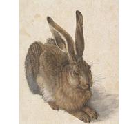 Una giovane lepre di Albrecht Durer pittura artistica pittura con numeri...