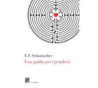 Una guida per i perplessi