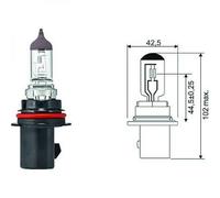 una lampada alogena ricambio Lampadina HB5 [9007] 12V 65/55W