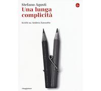 Una lunga complicità. Scritti su Andrea Zanzotto