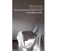 Una manciata di mattoni rossi e di pallide parole