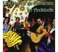 Una Noche de Flamenco en Andal