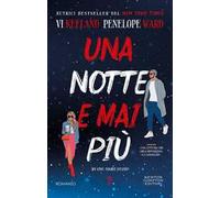 Una notte e mai più. My one-night stand