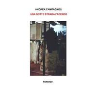 Una notte strada facendo