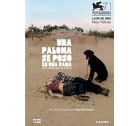 Una paloma se posó en una rama a reflexionar sobre la existencia