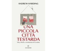 Una piccola città testarda