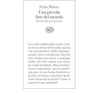 Una piccola fine del mondo. Intorno alla crisi psicotica