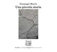 Una piccola storia