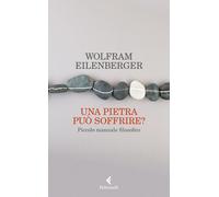 Una pietra può soffrire? Piccolo manuale filosofico - 2022 - Felt