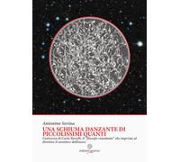 Una schiuma danzante di piccolissimi quanti. L'universo di Carlo