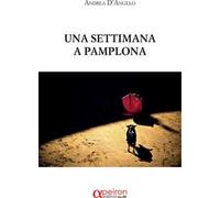Una settimana a Pamplona