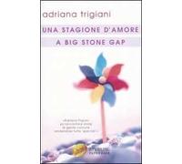 Una stagione d'amore a Big Stone Gap