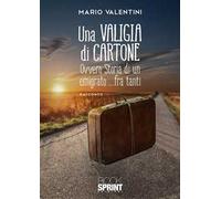 Una valigia di cartone
