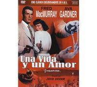Una Vida y un Amor v o s