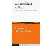Un'amicizia stellare. Traiettorie della critica in Derrida e Foucault