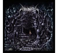 Unanimated In the Forest of the Dreaming Dead (Vinyl LP) 12" Album