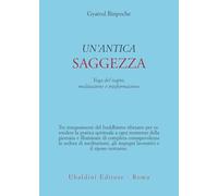 Un'antica saggezza. Yoga del sogno, meditazione e trasformazione