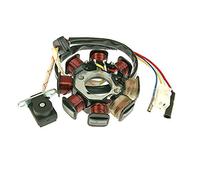 Unbekannt Alternatore statore Versione 1 per GY6 50 CCM