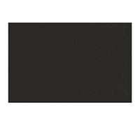 Unbekannt Fabriano Tiziano Nero - 50 fogli di carta pastello, formato DIN A4, 160 g/m2, resistente agli acidi e all'invecchiamento, superficie ruvida