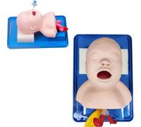 UNbit Manichino per intubazione pediatrica, Modello avanzato di intubazione tracheale in PVC, Trainer per Le Vie aeree per Bambini e Neonati