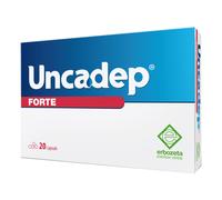 UNCADEP Fte 20 Cps