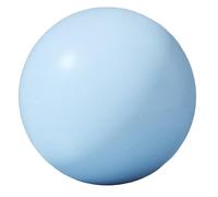 UncleS Small Pilates Ball Gym for Home Gym Bilances Core Allenamento 25 Cm da 10 Pollici Piccoli Esercizi Pilates Yoga Ball
