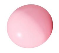 UncleS Small Pilates Ball Gym for Home Gym Bilances Core Allenamento 25 Cm da 10 Pollici Piccoli Esercizi Pilates Yoga Ball