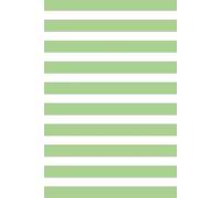 Undated 13 Month Life Planner for Focus & Balance - Green and Silver Striped Cover: ADHD-Friendly Goal Setting, Vertical Weekly Layout, Monthly Focus ... Travel Planning for Busy Moms & Professionals