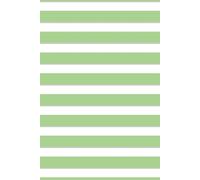 Undated 13 Month Life Planner for Focus & Balance - Green and Silver Striped Cover: ADHD-Friendly Goal Setting, Vertical Weekly Layout, Monthly Focus ... Travel Planning for Busy Moms & Professionals