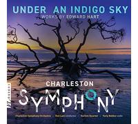 Under an Indigo Sky